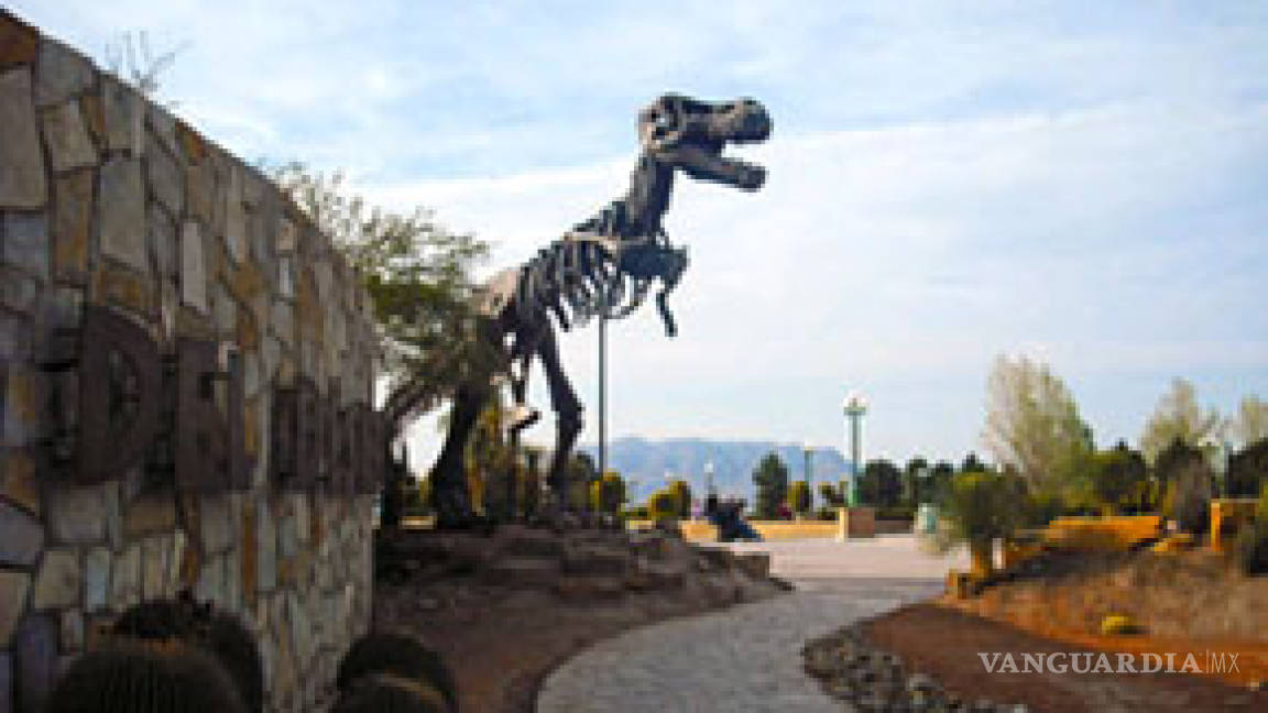 Paleontólogos alemanes descubren dinosaurio en Coahuila