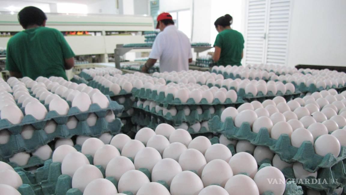 Cruces ‘de pánico’ de EU a México para comprar huevo no afectan a Coahuila