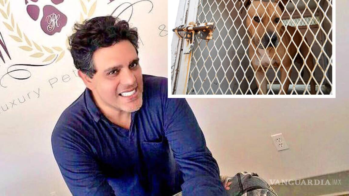 Max, el perro Pitbull que atacó a Iker, estará rehabilitado en tres meses: actor Raúl Julia
