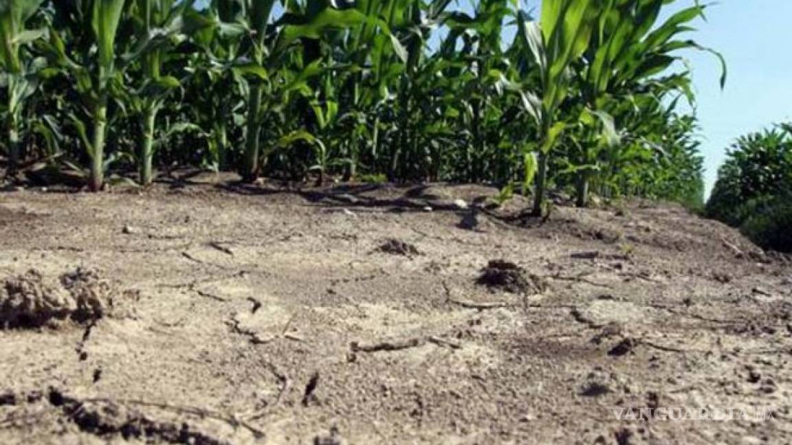 Declaran estado de emergencia por sequía en norte de Italia