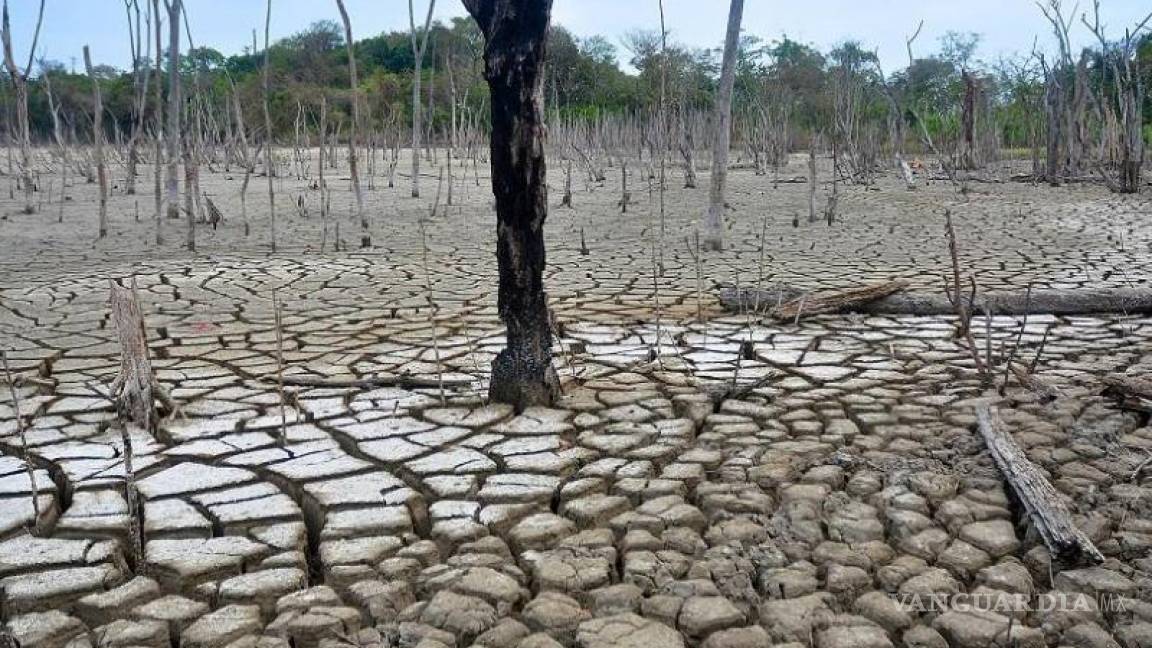 La sequía afecta a casi un millón de personas en Cuba