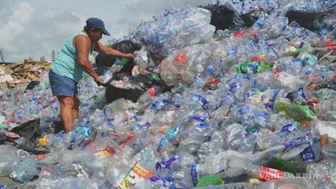 Mexicanos realizan método para degradar residuos PET en menos de 1 día