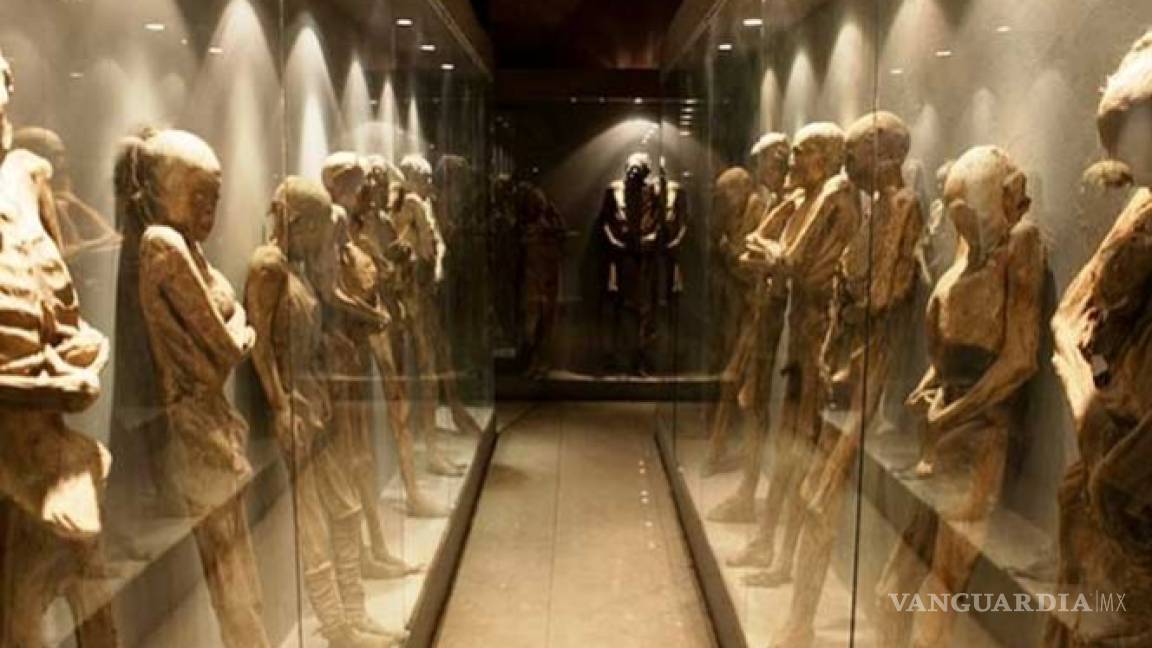Exhuman cuerpos de panteón del Museo de las Momias