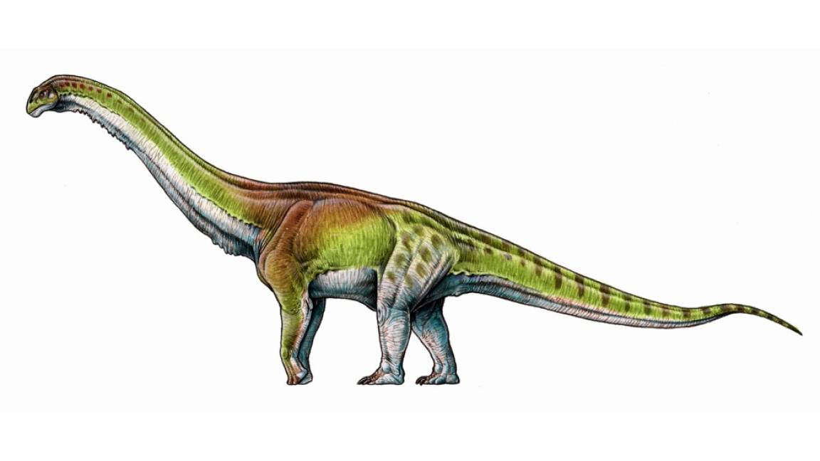 Patagotitan mayorum, el dinosaurio más grande del mundo