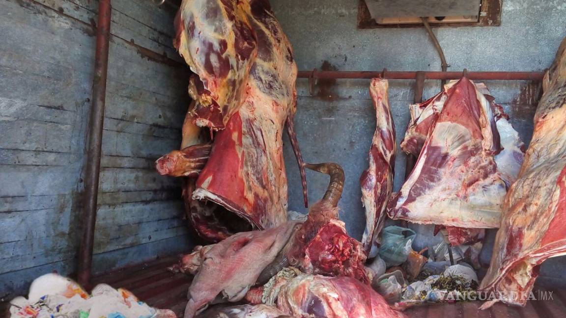 Detectan y aseguran carne insalubre en Sabinas, Coahuila