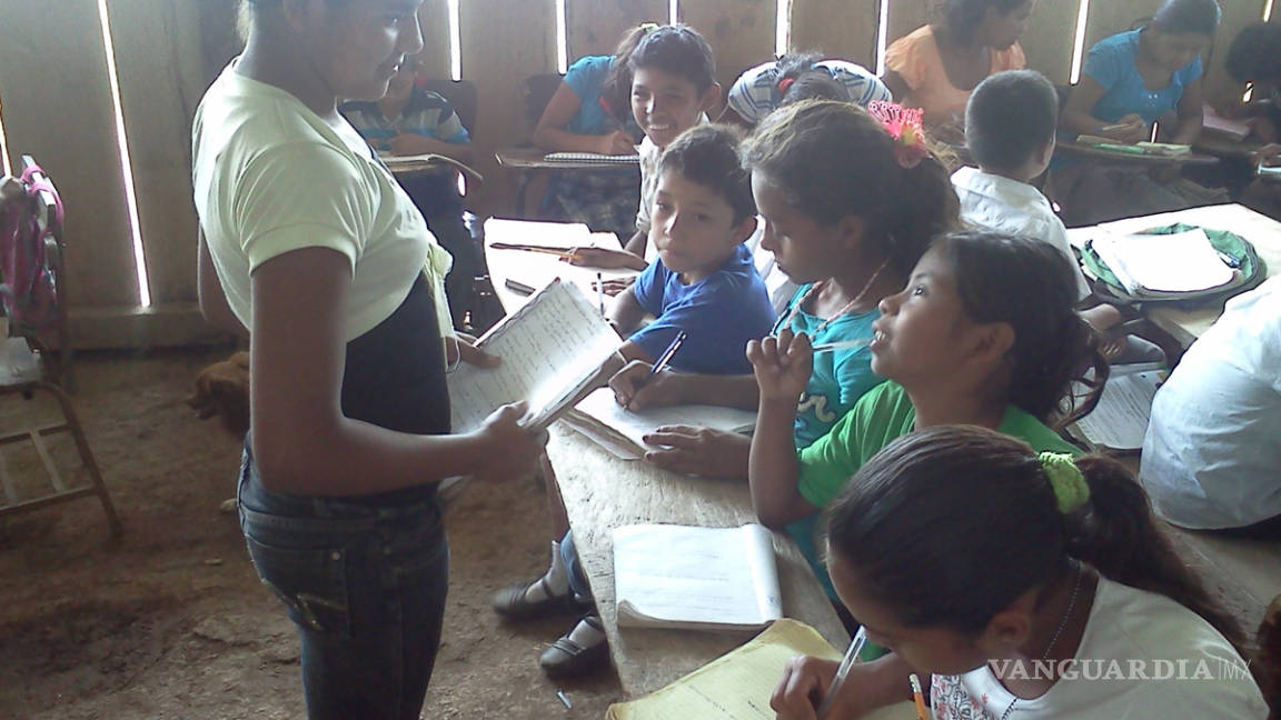 16% de niños en América Latina abandonan la primaria: Unicef