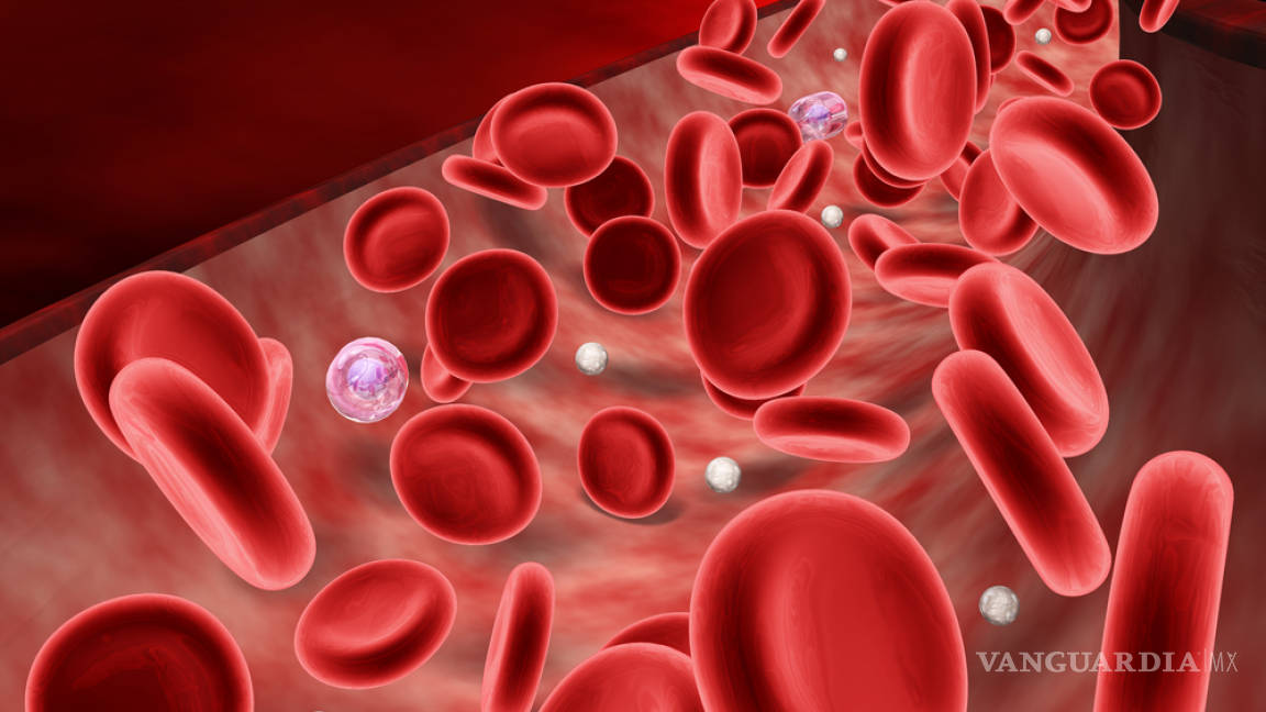 Tu sangre, fuente de importante información sobre tu salud