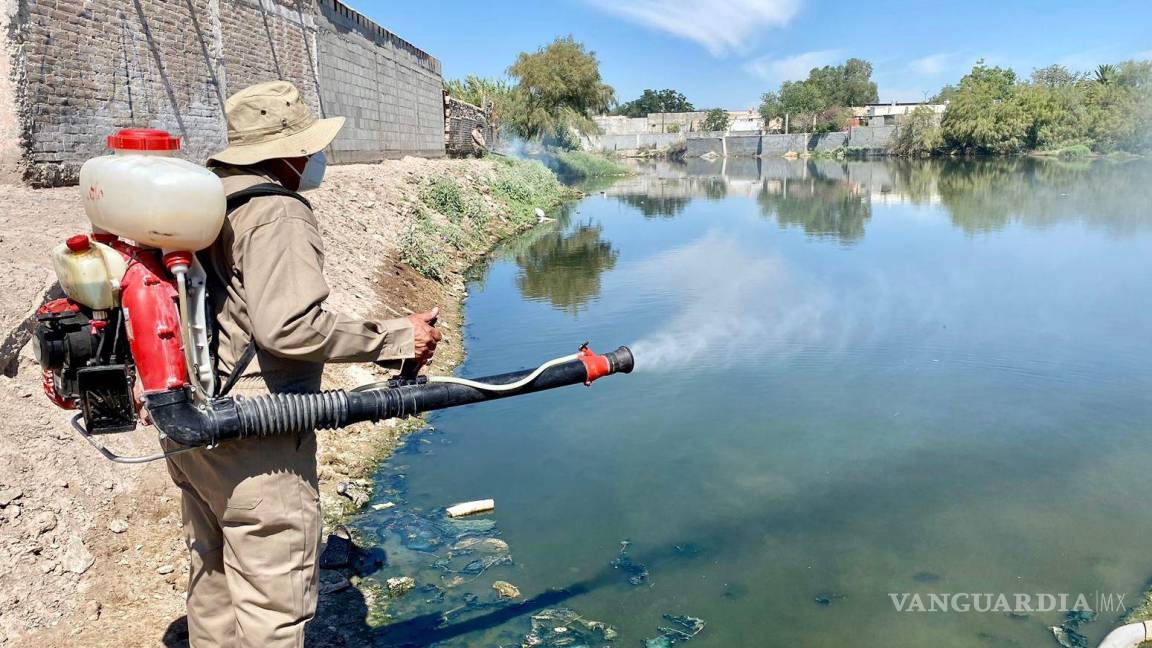 Acciones continuas contra el dengue en Torreón
