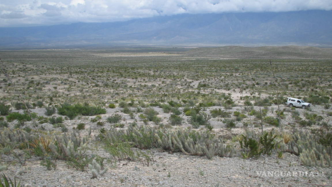 Entre 70 y 75% del planeta padece algún grado de desertificación