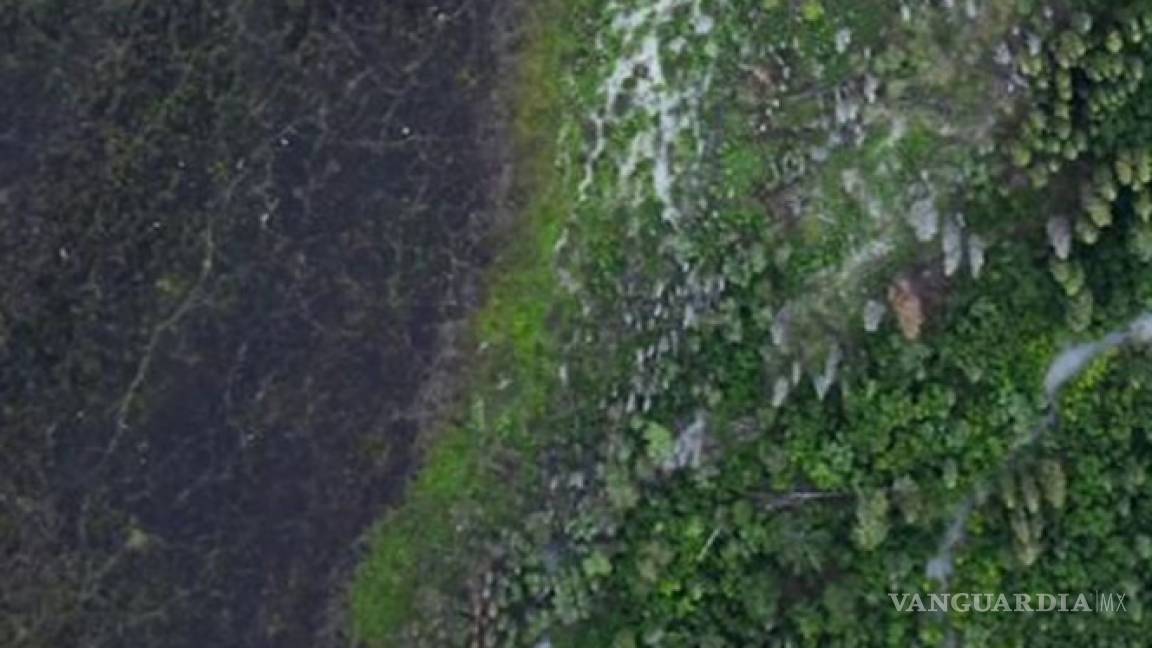 Google Earth revela 467 millones de hectáreas de bosque sin registrar