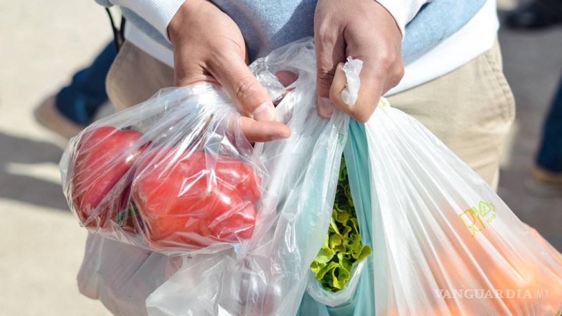 Saltillo: Continúa el uso de bolsas de plástico en tiendas, pese a legislación que lo prohíbe