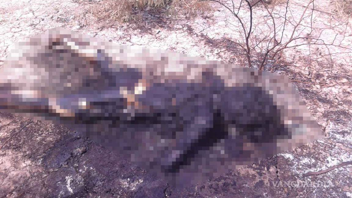 Asesinan a joven mujer y le prenden fuego en Matamoros, Coahuila