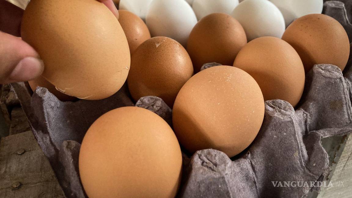 Mexicanos pagan el doble de lo que cuesta producir un kilo de huevo, afirma GCMA