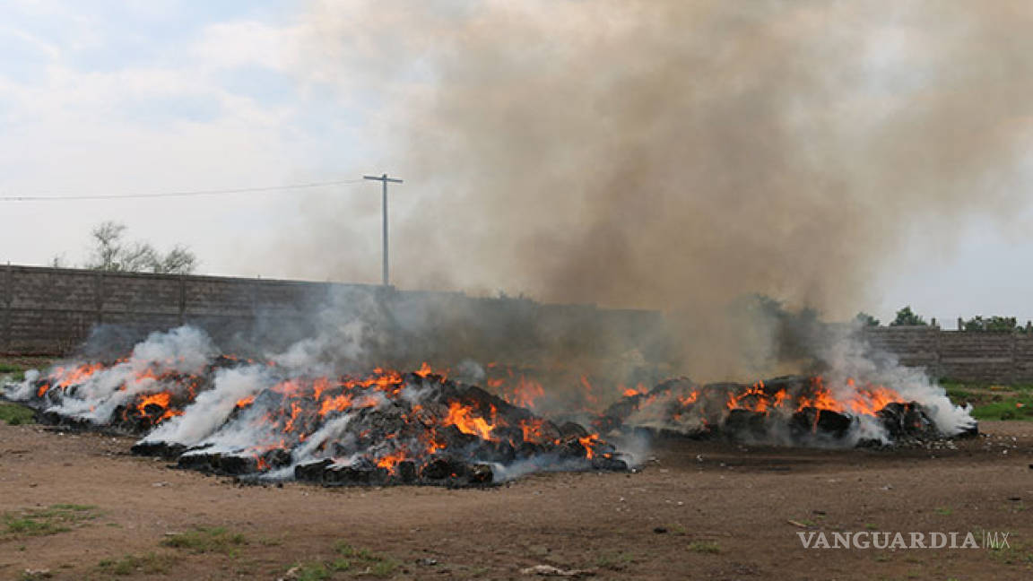 PGR y Sedena incineran 23 toneladas de droga en Sinaloa