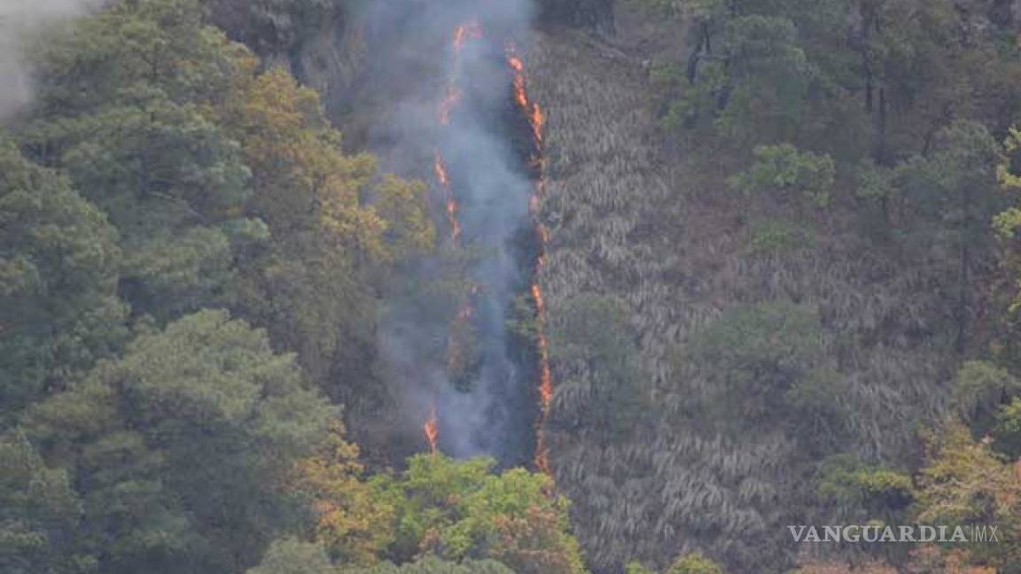 Se queman más de 50 hectáreas de la sierra del Tepozteco, en Morelos