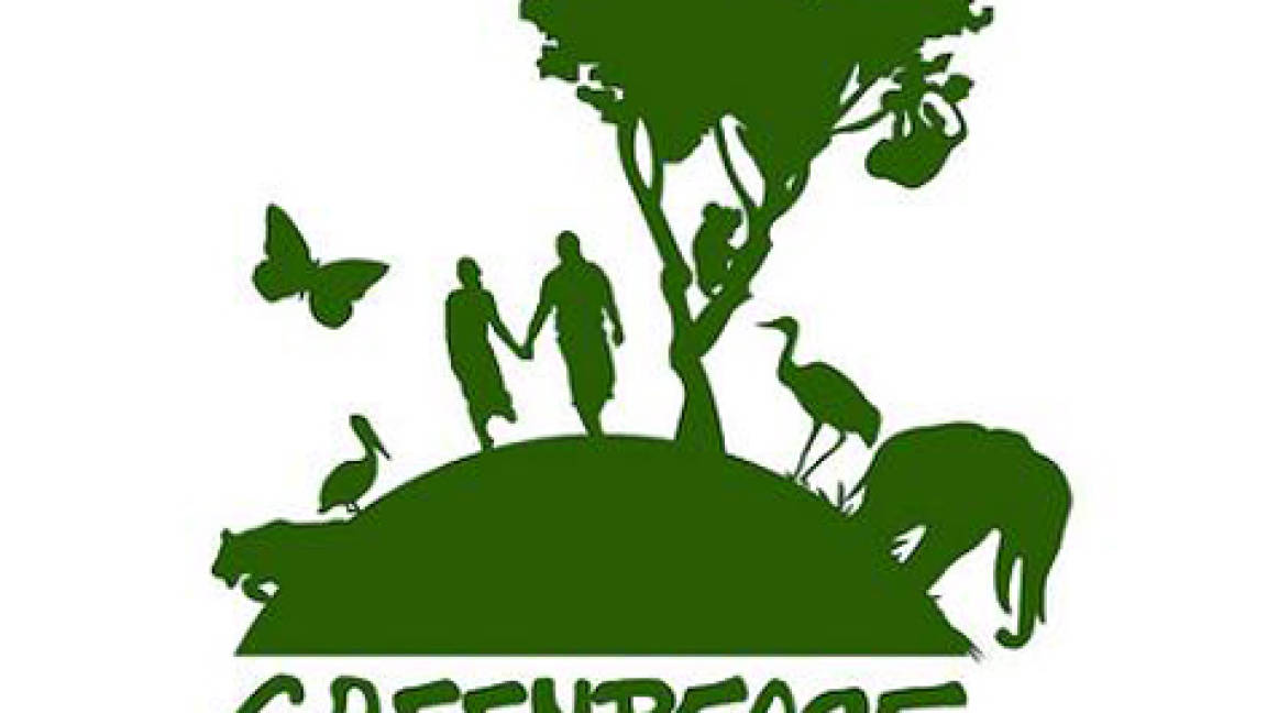 Presenta Greenpeace recurso contra Semarnat por soya transgénica