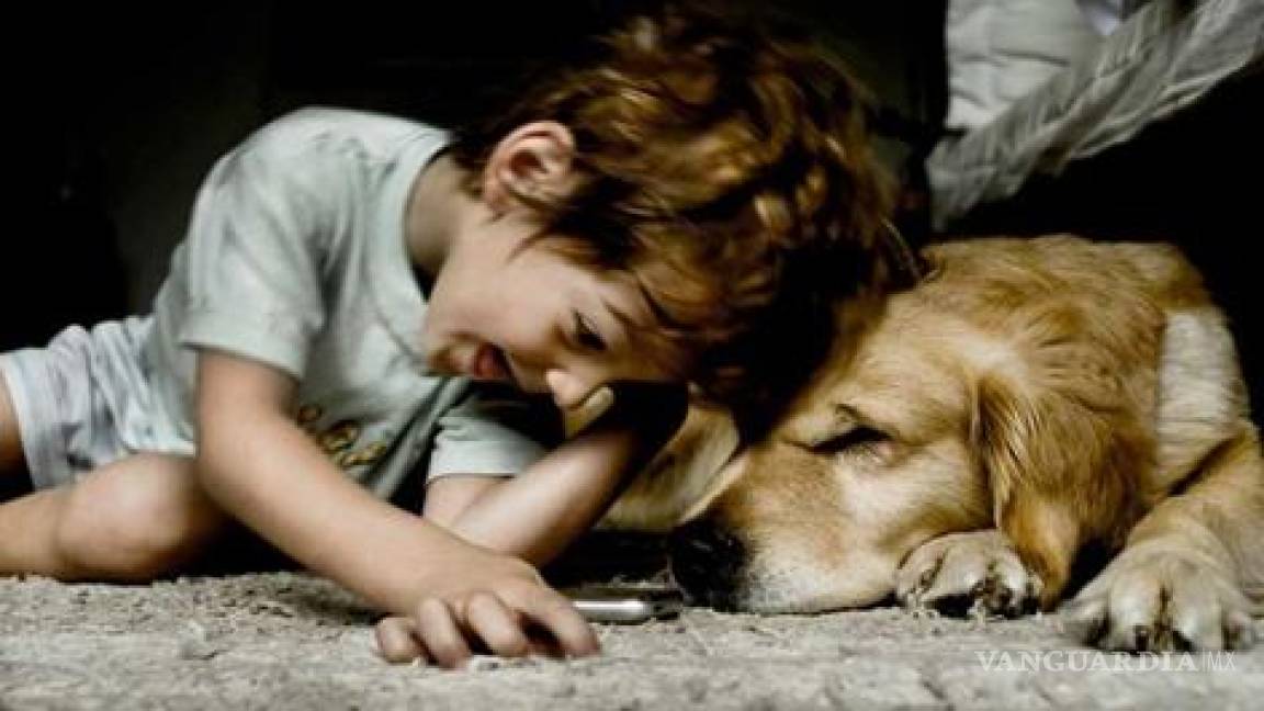 Los niños que crecen con perros son más sensibles