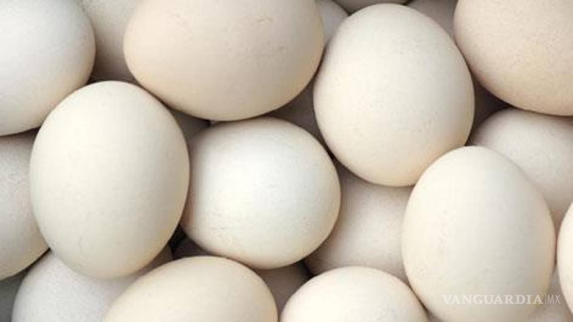 Millones de huevos comunes, vendidos como ecológicos en Alemania