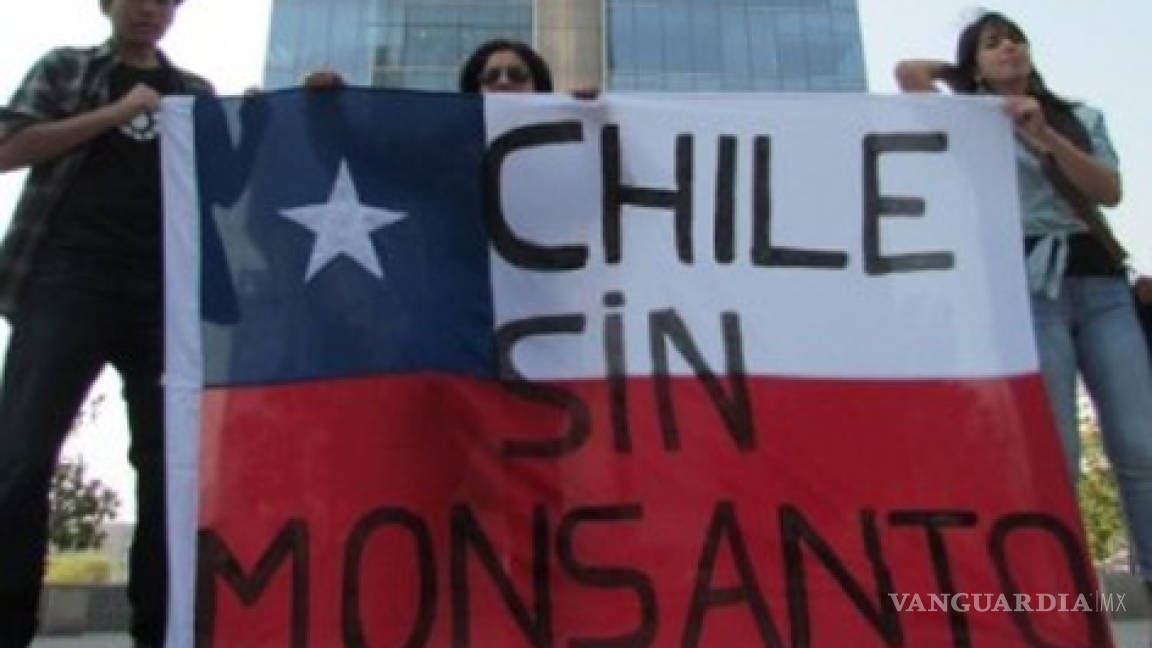 Chile se une a la manifestación mundial contra Monsanto