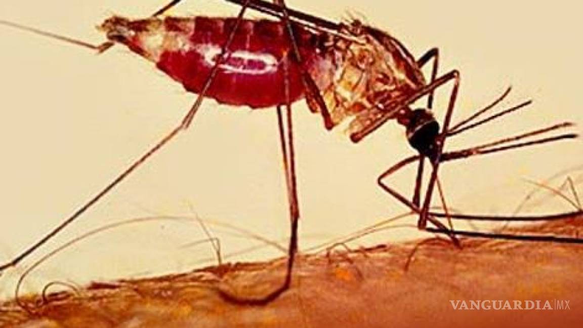 México entre países que pueden erradicar la malaria
