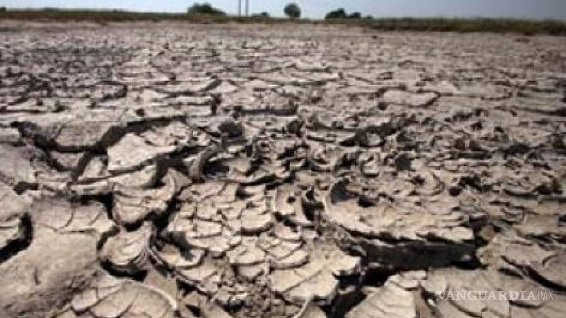 Extienden a 45 municipios plan emergente ante sequía que ataca a NL