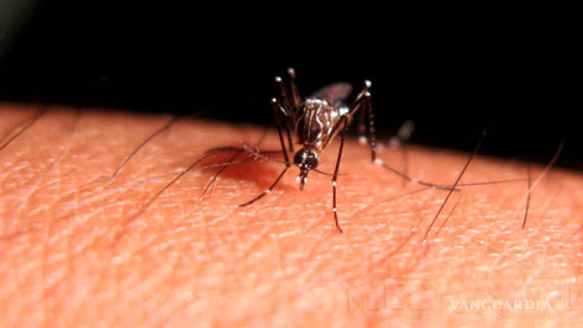 Tendrá México para 2014 vacuna contra el dengue