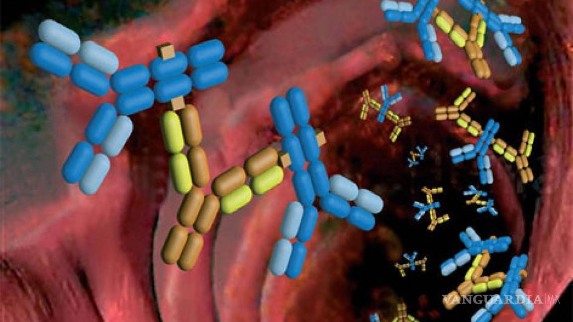 Crean en Chile 'nanopartículas' contra cáncer