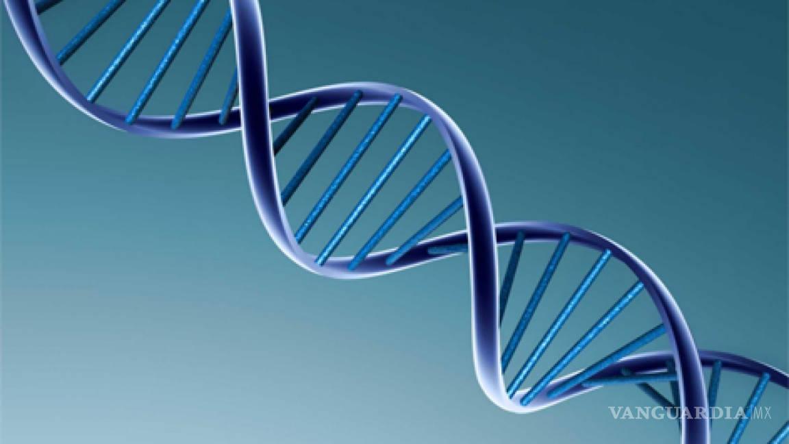 Diputados aprueban minuta para incluir genoma humano en la Ley de Salud