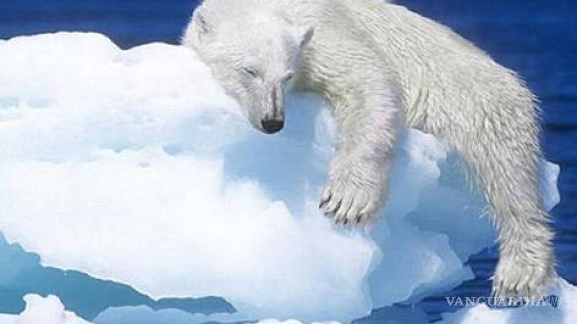 En 2012 se registró récord en temperaturas de calor y deshielo en el Artico