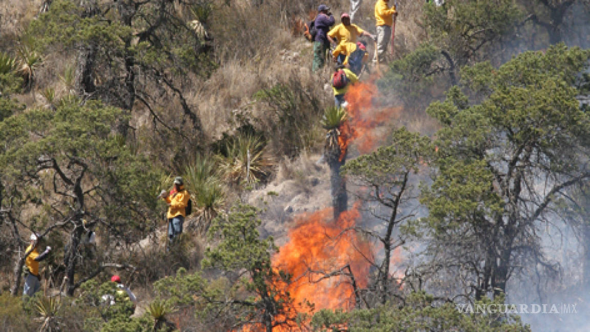 Suman 924 Los Brigadistas Que Combaten Incendios Forestales En Coahuila