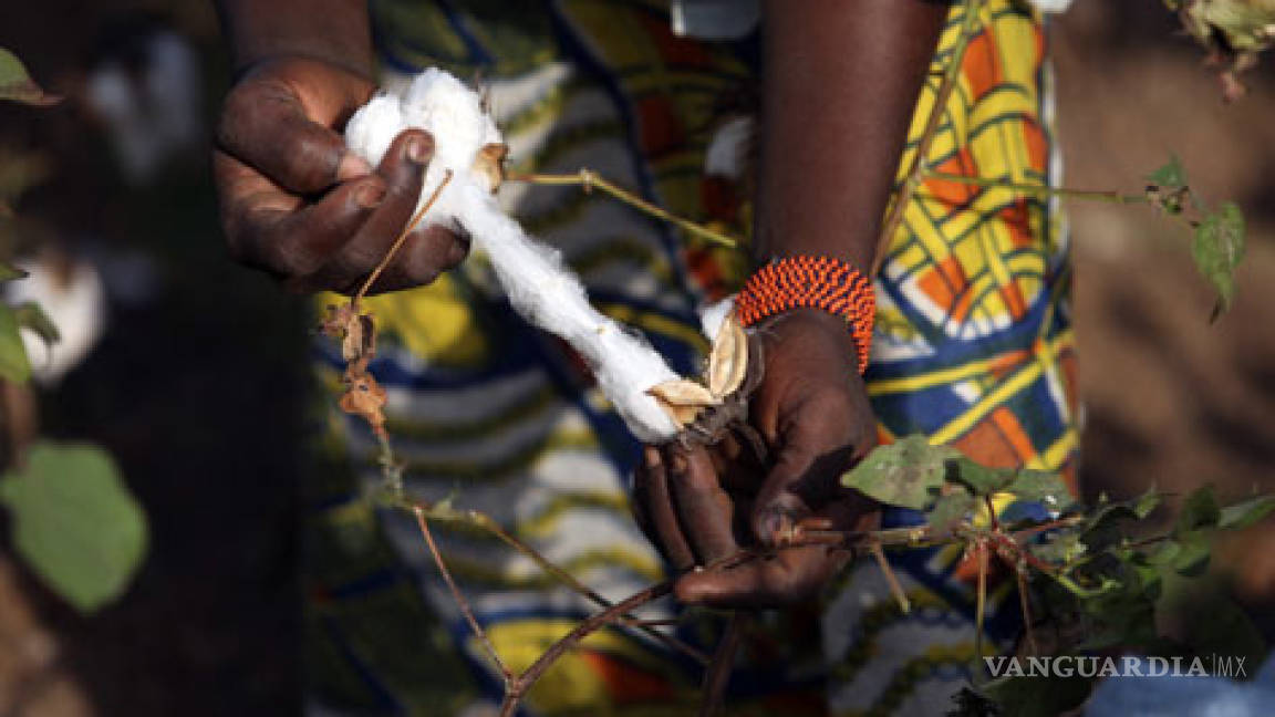 Niños de Burkina Faso cosechan algodón para Victoria's Secret