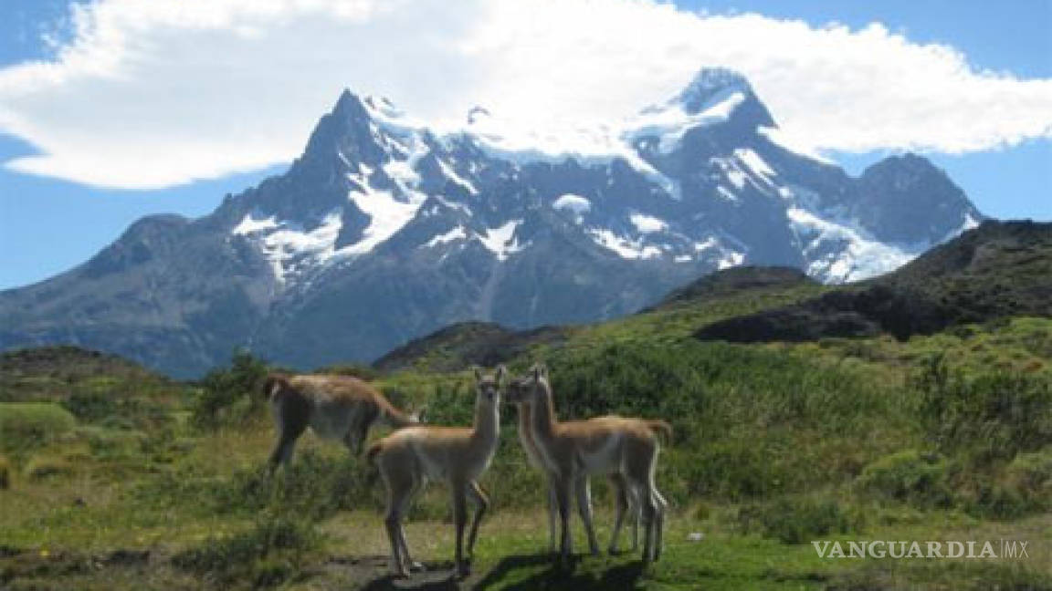 Aprueban en Chile construcción de hidroeléctricas que inundarán miles de hectáreas de Patagonia