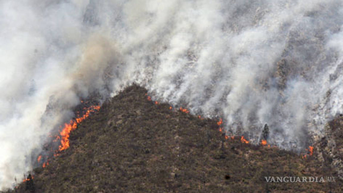 Reportan Tres Incendios Forestales Activos En SLP