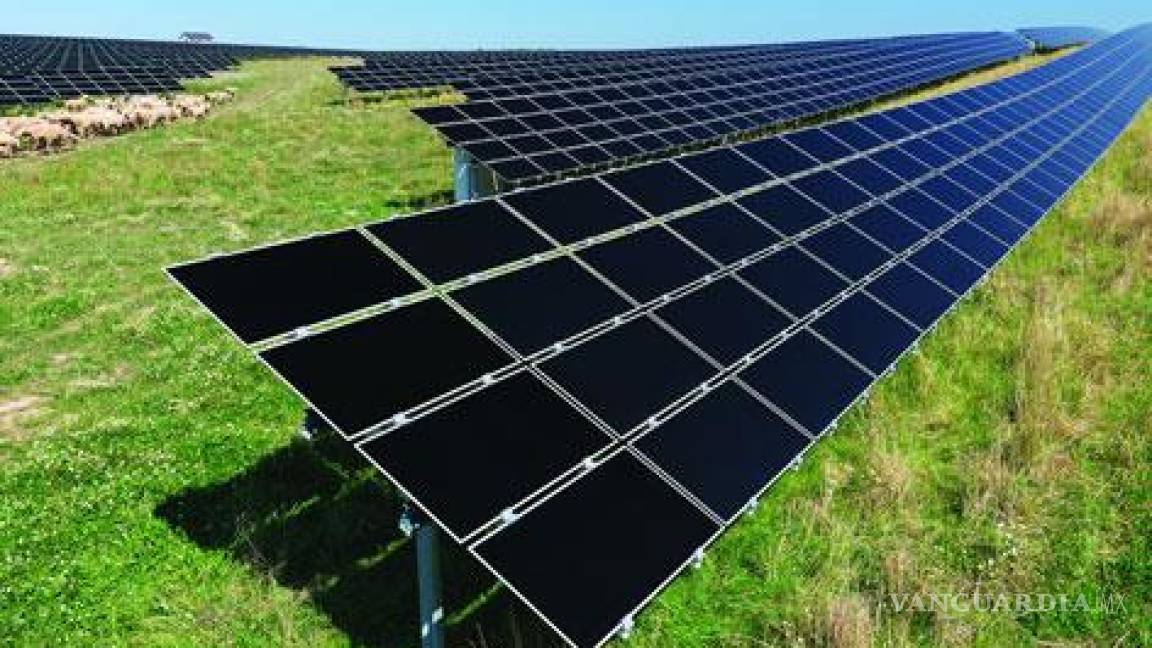 Promueve el Ciatec el uso de plantas fotovoltaicas y granjas solares