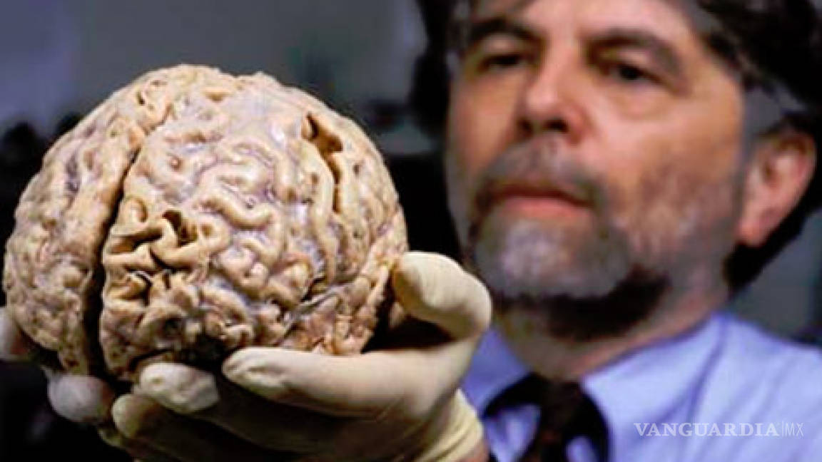 El cerebro humano se encoge y pierde capacidad con la edad