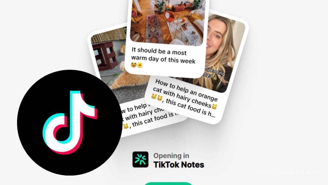 ‘TikTok Notes’, la nueva aplicación de la plataforma de videos cortos que competirá con Instagram
