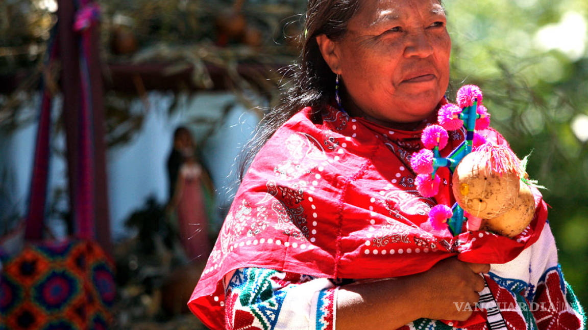 Comisión Indígena gasta más de mil 100 millones, pero no en los indígenas