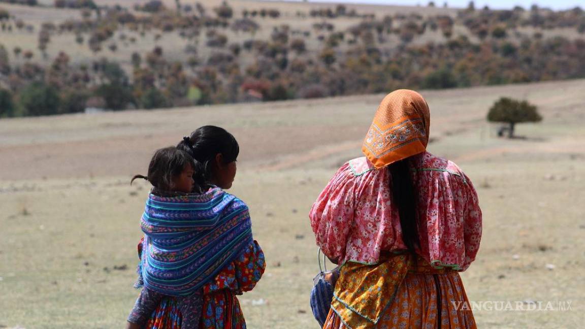 Autoridades de Chihuahua, responsables por la muerte de siete niños indígenas: CNDH