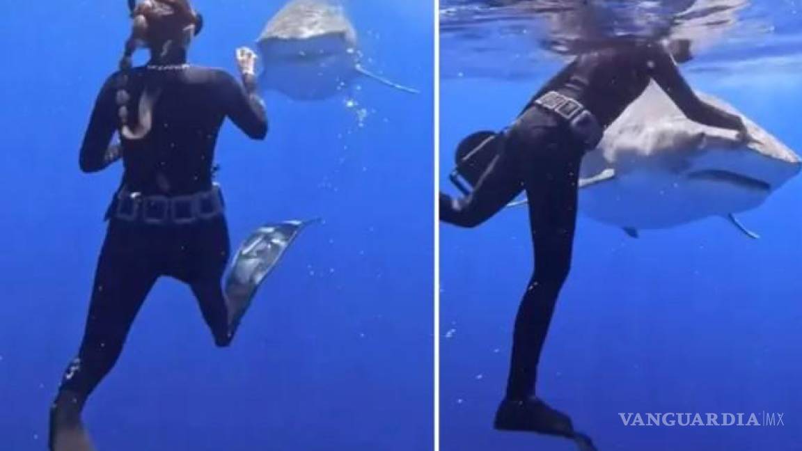 Buza enseña cómo prevenir el ataque de un tiburón con uno vivo