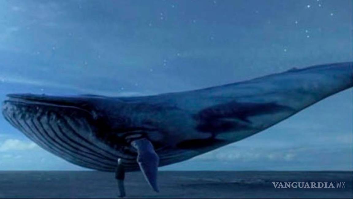 Colombia liga a sitios mexicanos con reto 'ballena azul' y 3 suicidios