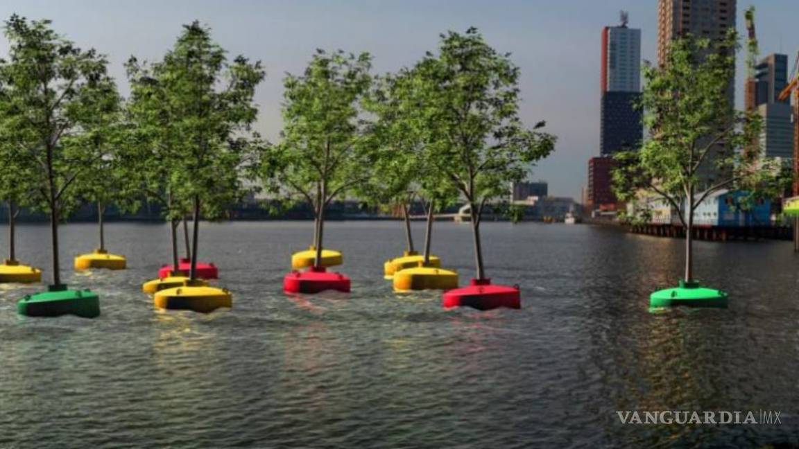 Plantan el primer &quot;bosque flotante&quot; en las aguas del puerto de Rotterdam