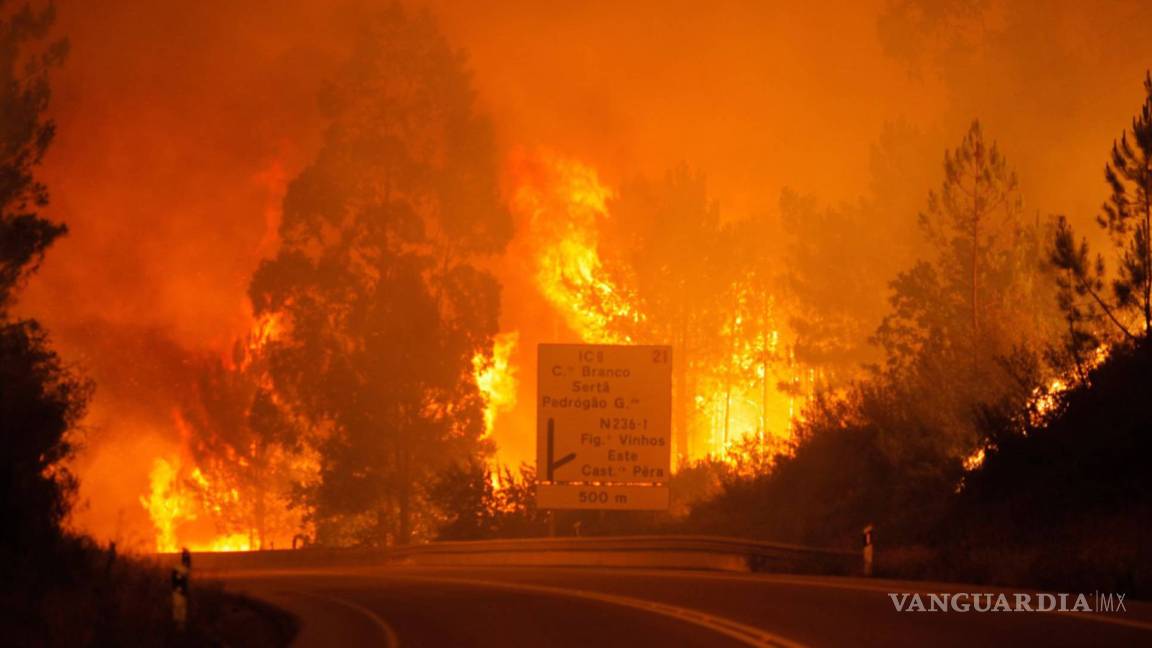 Incendio forestal en Portugal deja 19 muertos y 20 heridos
