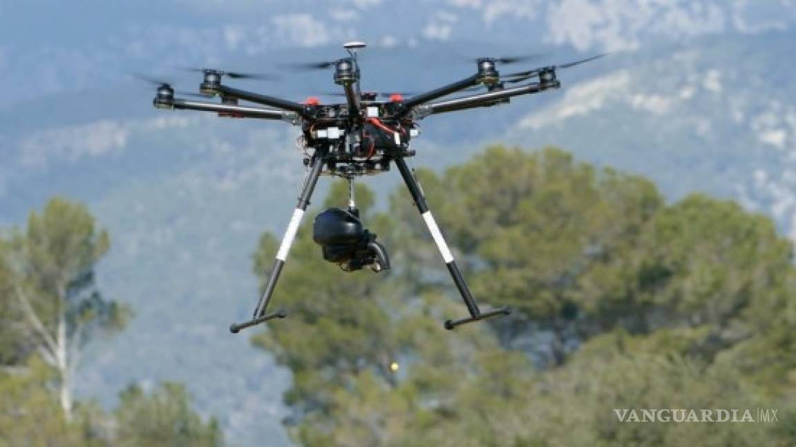Reforestar con drones, una opción para reforestar la sierra de Arteaga