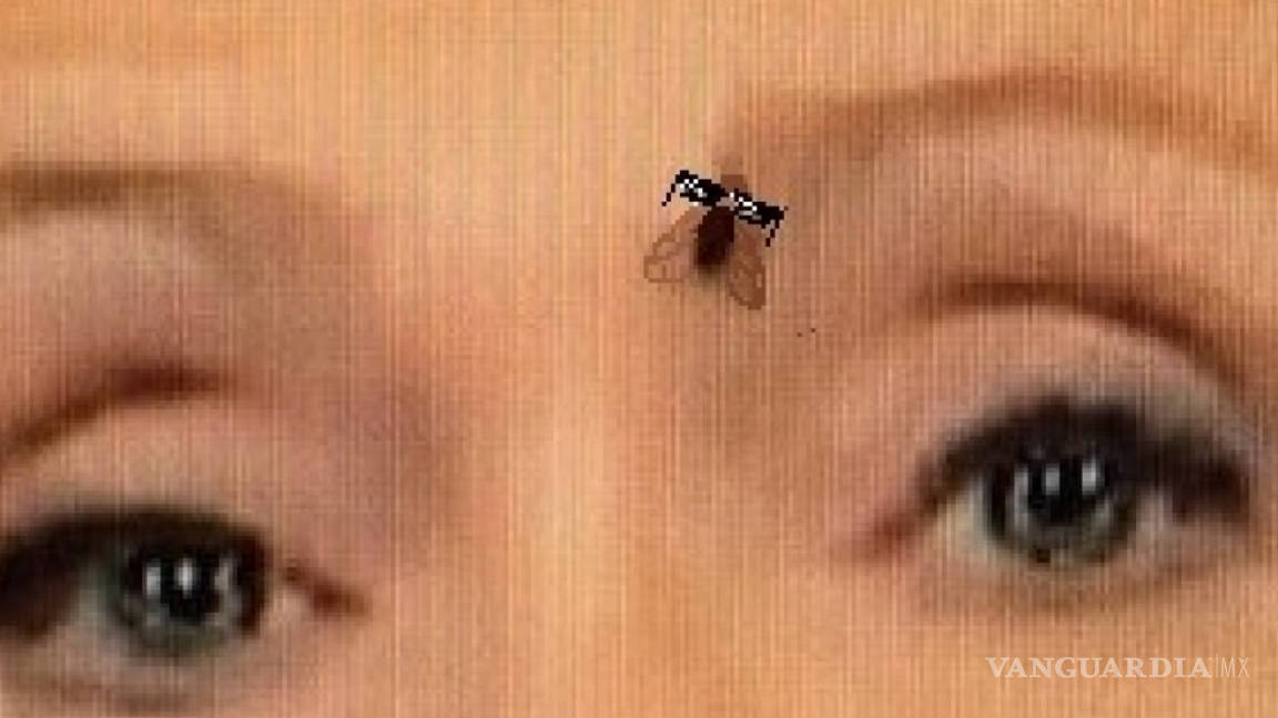 Fly Clinton: La mosca de la ceja de Hillary Clinton durante el debate ¡ya tiene cuenta!