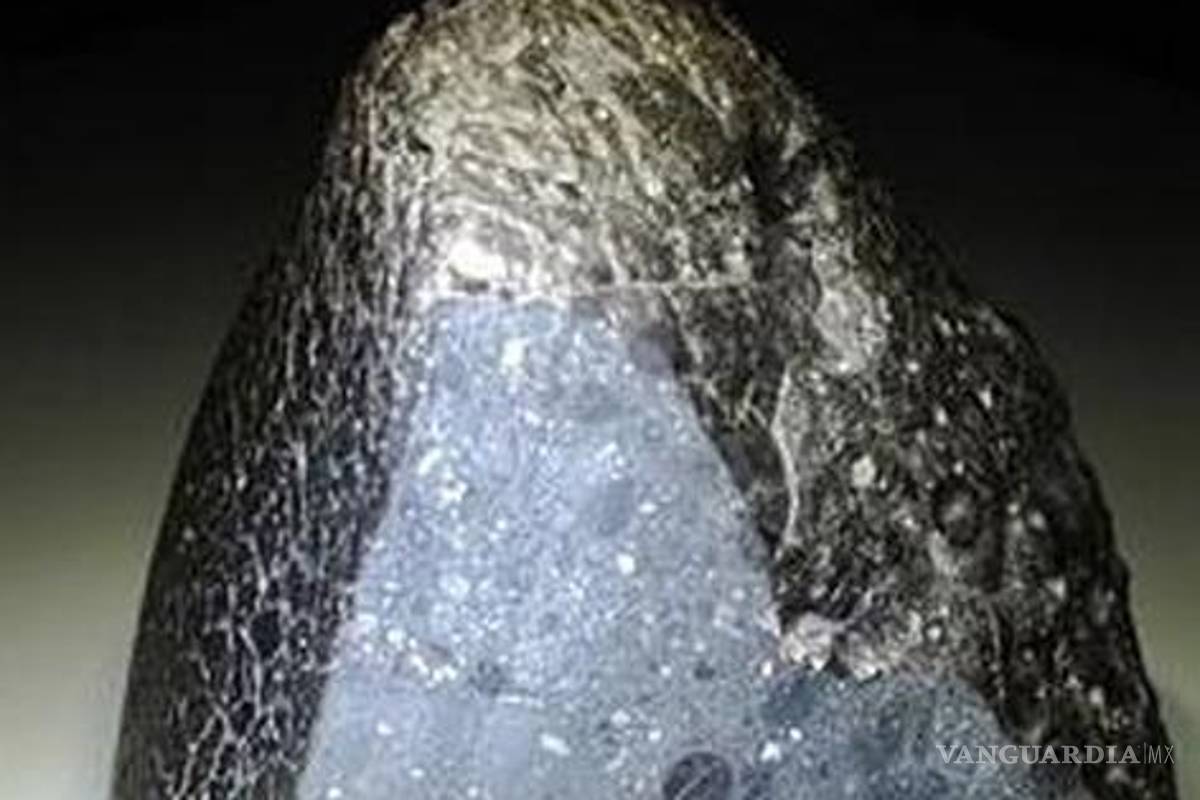 Descubren un extraño meteorito marciano; contiene agua Descubren un extraño meteorito marciano; contiene agua