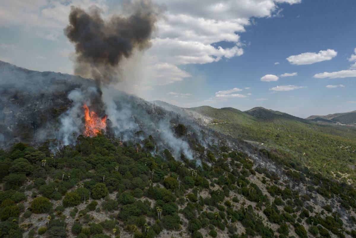 Incendio En Mazapil Zacatecas Afecta M S De Hect Reas