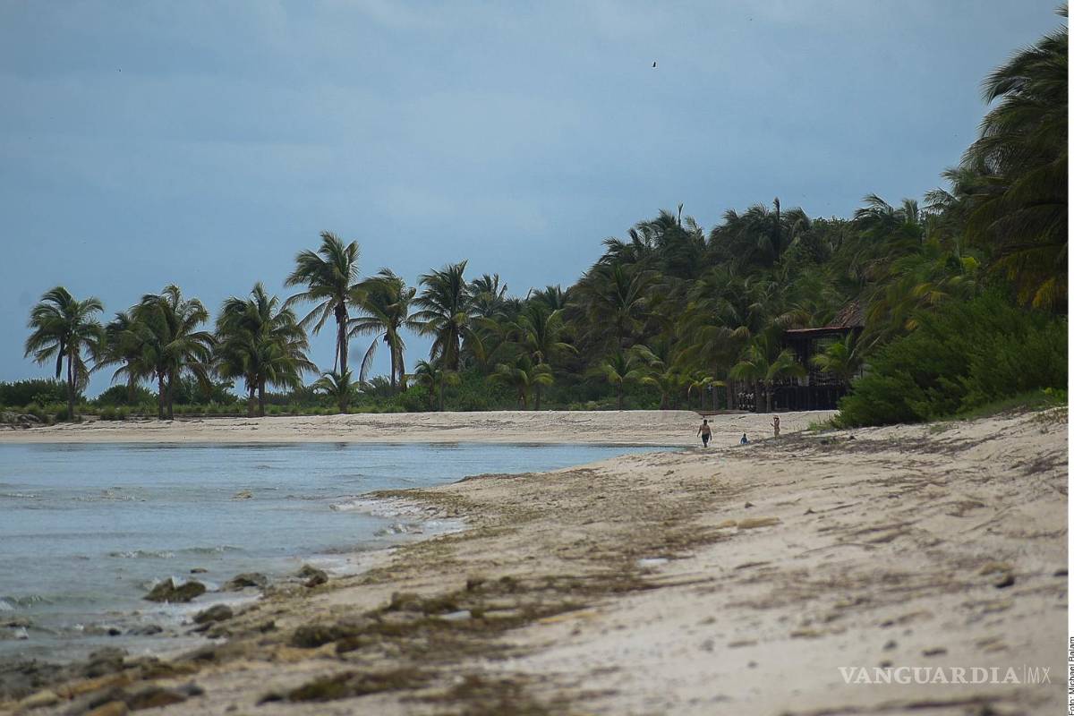 Revelan que Alito tiene una playa con permiso de la Semarnat Revelan que Alito tiene una playa con permiso de la Semarnat