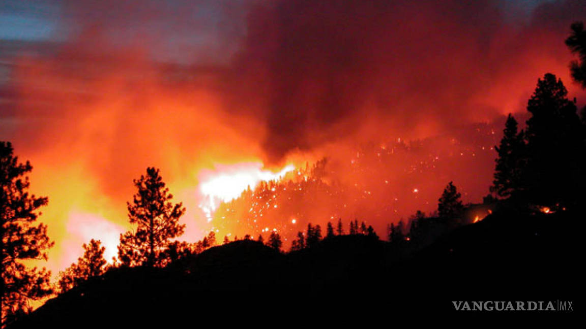Suman en Coahuila 85 incendios forestales en lo que va del año