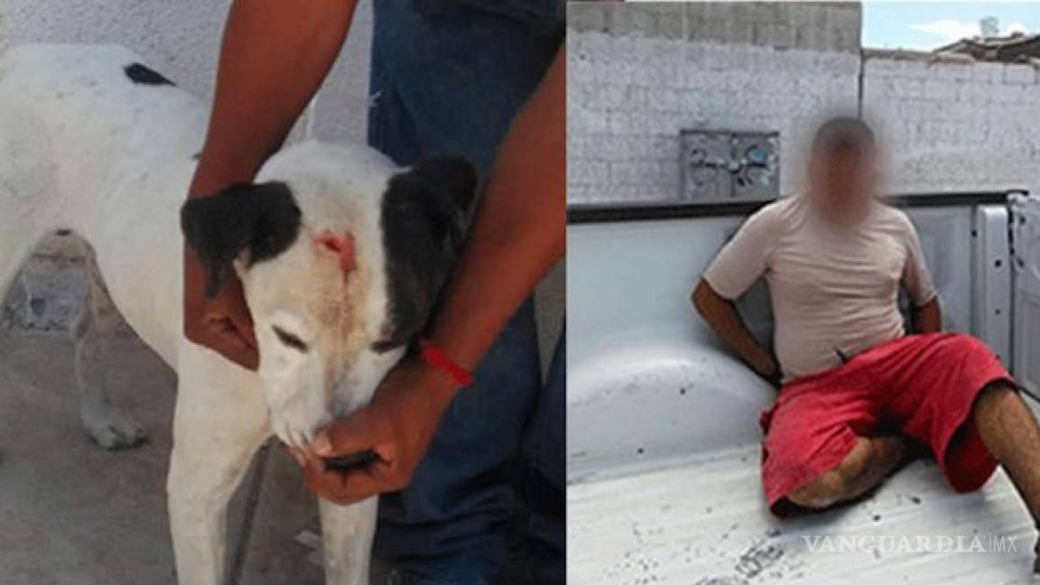 Hombre golpea a su perro con un martillo y es arrestado en Ciudad Juárez