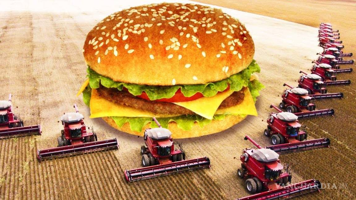 Burger King devasta bosques y acaba con especies para dar soya a las reses de sus hamburguesas